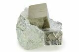 Two Large Shiny Pyrite Cubes In Rock - Navajun, Spain #343202-1